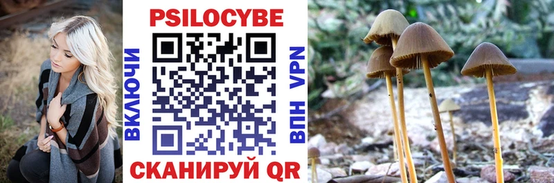Галлюциногенные грибы Psilocybine cubensis  закладки  Кувшиново 